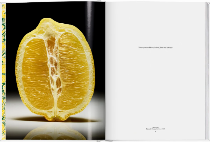Lemon - Imagen 3