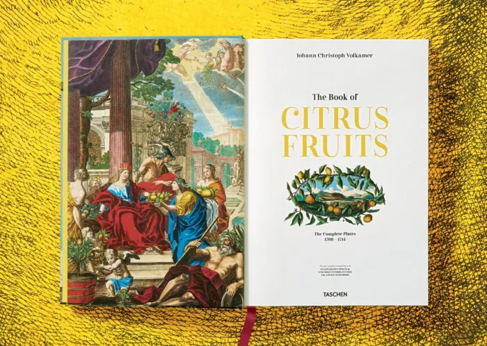 J. C. Volkamer. The Book of Citrus Fruits - Imagen 2