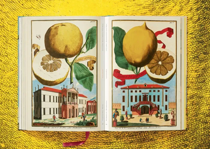 J. C. Volkamer. The Book of Citrus Fruits - Imagen 5