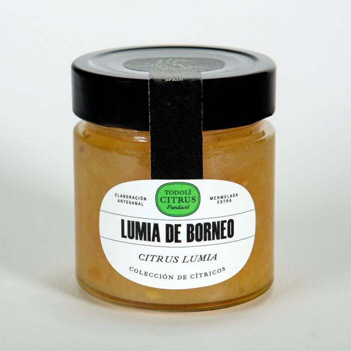 Borneo's Lumia_marmalade