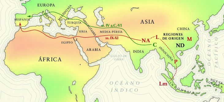 Mapa Origen y dispersion citricos Investigación en Fundació Todli Citrus