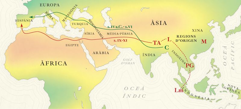 Investigación en Fundació Todli Citrus