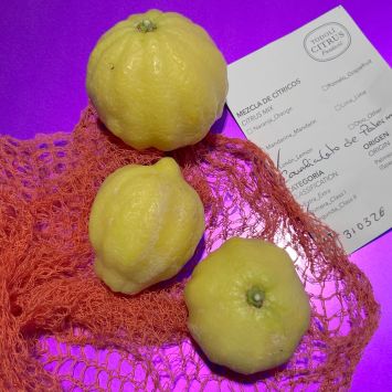 limon de Palermo