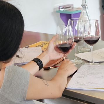17_Cata de vinos_1