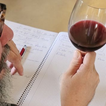 17_Cata de vinos_4