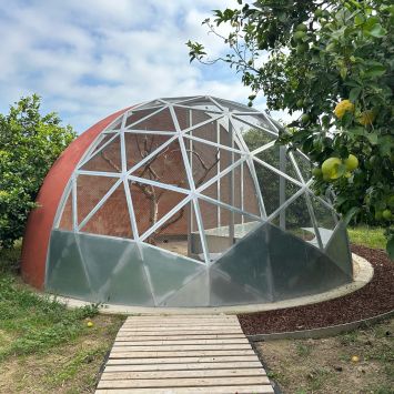 Aviary_Carsten Holler