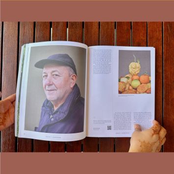 4_Collector of lemons_Maison E