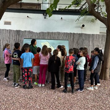 1_Colegio de Palmera © Cristina Gimenez