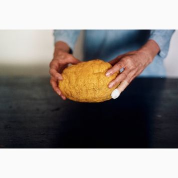 Il grosso cedro_Alessandra Spranzi